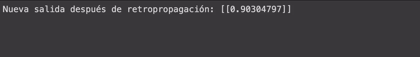 Salida de la red neuronal después de aplicar retropropagación