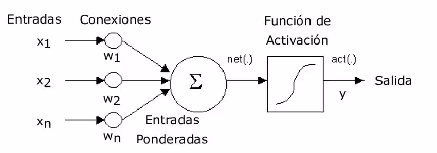 Diagrama de una neurona artificial con entradas, pesos, bias, suma ponderada y función de activación