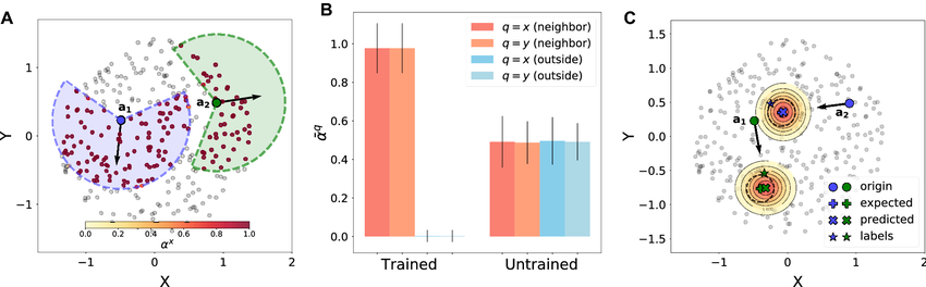 Resultados de AgentNet en el modelo de Vicsek, mostrando agentes, rango de interacción y patrones de atención en forma de cono frontal